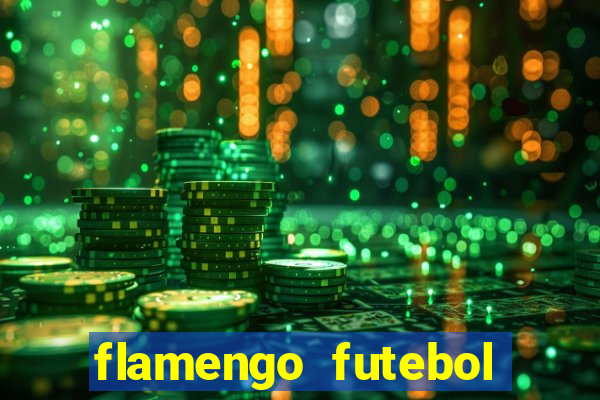 flamengo futebol play hd